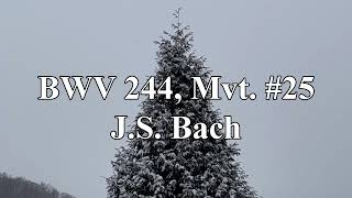 BWV 244 Mvt 25  JS Bach [upl. by Narot414]