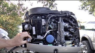 How To Pull Codes On Honda EFI Outboard Motor [upl. by Ocirne53]