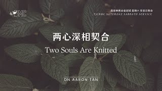 TJC BMC Saturday Service  16th Nov 2024  Two Souls Are Knitted 两心深相契合 [upl. by Viquelia]