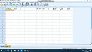 UJI HEDONIK SPSS [upl. by Weight]