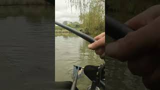 I won my first fishing match matchfishing fishing fishinglife [upl. by Ariamo]