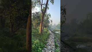 NepalwildlifeKarnali river Bardiyanationalpark [upl. by Geiger]