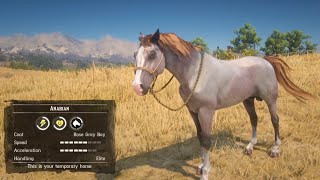 All 5 Rare Arabian Horse Location amp Rankings  RDR2 [upl. by Eastman646]