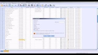 Ввод данных в SPSS ч 1 [upl. by Namlaz698]