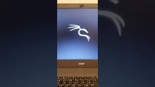 Как подружить GRUB и познакомить Win 10 с Kali Linux [upl. by Leanatan]