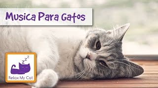 Relaxamento música para o seu gato ou gatinho  ajudálos a se acalmar e dormir [upl. by Ahseenal]