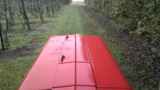 Massey Ferguson 135 sound [upl. by Auhsot110]