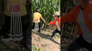 Essential Farming Tools for Rural Farmer  Corn 🌽 🌽 Silage Cutting Tools shorts satisfying [upl. by Holton105]