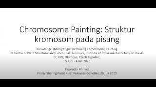 Chromosome Painting pada Tanaman [upl. by Chuipek]