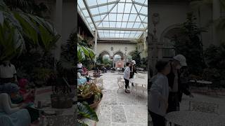 Vizcaya Museum amp Gardens shorts [upl. by Nylyak149]