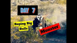 Day 7 Roping Big bulls in the Desert [upl. by Phillane782]