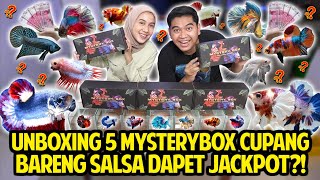 UNBOXING 5 PAKET MYSTERY BOX IKAN CUPANG BARENG SALSA BANYAK BANGET BETTAFISH JACKPOTNYA [upl. by Akelahs105]