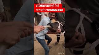 Stomach tube ko kaise pass kare  I dr Umar khan [upl. by Alcina473]