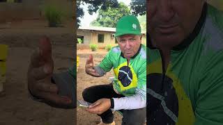 🗣️🗣️🗣️agricultura agro fyp pimentinhagustavo brasil [upl. by Tali]