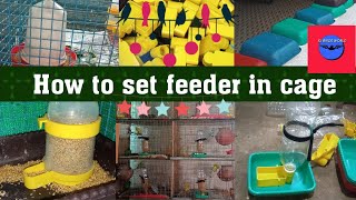 How to set feeder in cage Food and water feederIn tamilSJ Birds World [upl. by Tracee348]