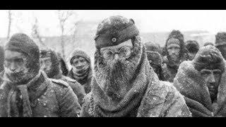 Stalingrad 1943 Warum 95 Prozent der Kriegsgefangenen starben [upl. by Leena337]