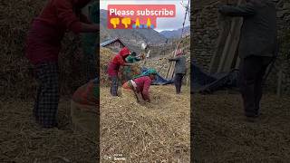 Fupu aama r baja sami caladi फूपू आमा र बाजे सिमि केलाउदै♥️♥️♥️♥️♥️🇳🇵🇳🇵viralvlogs jumla [upl. by Drofxer]