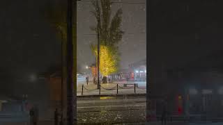 Winter in Sarajevo and first snowflakes in our beautiful city Video taken by Meet Bosnia Tours [upl. by Nahtam]