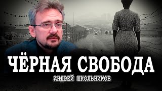 Невозможность порядка или Апартеид  как необходимость  Андрей Школьников [upl. by Mitzi]