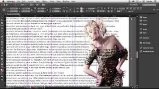 How To Get Started With Adobe InDesign CC  10 Things Beginners Want To Know How To Do [upl. by Ayital801]