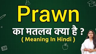 Prawn meaning in hindi  Prawn ka matlab kya hota hai  Word meaning [upl. by Aiela757]