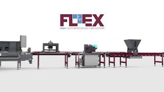 We are Flier Systems and we are passionate about young plant automation [upl. by Eisned]