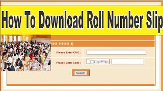 How to Download NTS Roll No Slip 2022 NTS roll no slip 2022  NTS data entry Roll Number Slip [upl. by Lewan]