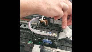 HOW TO CHANGE DAMPERS EPSON 48004880 [upl. by Tasha]