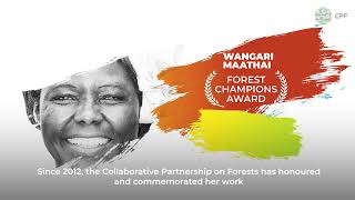 Wangari Maathai Tribute Film [upl. by Iahk839]