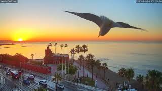 Sunrise in Benalmádena  Málaga  Costa del Sol  Andalucía  Spain amanecer Castillo El Bil Bil [upl. by Schreib]