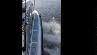 BOAT Microplus 502 75hp 2stroke Outboard on the plane [upl. by Noryv]