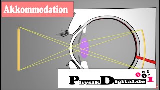 Wie sehen wir scharf Das Auge  Akkommodation einfach und anschaulich erklärt von physikdigitalde [upl. by Aibonez]