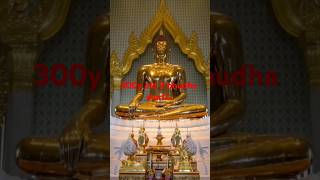 Buddham Sharnam Gacchami😱shorts music budha [upl. by Morse464]