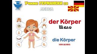 GERMANSKI za pocetnici so LEVEL  Lekcija 9 Die Körperteile [upl. by Avat149]