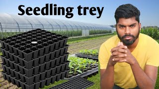 seedling trey  seedling tray for tomato  seedling tray size  seedling tray planting [upl. by Zebada]