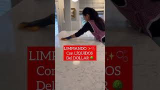 ✅ LIMPIANDO la CASITA con LÍQUIDOS del DOLLAR TREE [upl. by Mandi]