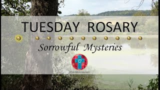 Tuesday Rosary • Sorrowful Mysteries of the Rosary 💜 October 22 2024 VIRTUAL ROSARY  MEDITATION [upl. by Liebman]