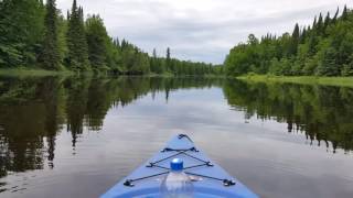 Kayaking the Bigfork River Big Falls MN [upl. by Theobald]