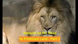 Ambush on the Road to Promised Land  Part 1 [upl. by Blasien697]