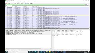 716 lab Use Wireshark to Examine Ethernet Frames [upl. by Dowell]