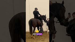 🐴✨ Mój pierwszy raz na koniu – 10032024 [upl. by Yesrej982]