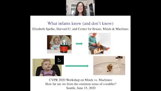 Elizabeth Spelke  What infants know and dont know [upl. by Renzo]