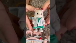 Unboxing Calico Critters Feat Village Doctor [upl. by Arotal470]