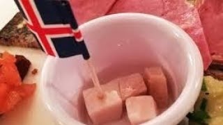 Shocking truth about hakarl Icelandic delicacy [upl. by Bathsheeb120]