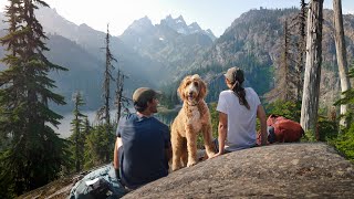 Taking My Dog On His First Camping Trip  3 Nights in the Washington Backcountry [upl. by Ellenig126]