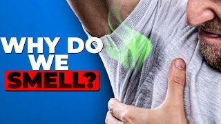 The Science of Body Odor Science Behind Your Sweat [upl. by Eimilb]