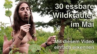 30 Wildkräuter im Mai 🍃Ich zeige detailliert essbare Wildpflanzen und gebe Praxistipps In HD [upl. by Lilly]