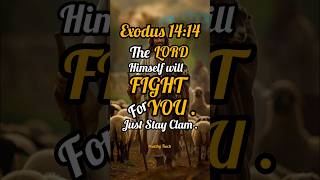 Exodus 1414  Healthy Teach  Holy Bible Verses [upl. by Dever282]