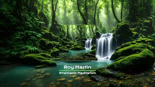 Roy Martin  Shamanic Meditation [upl. by Hanej]