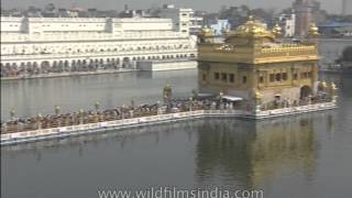 The Harmandir Sahib Amritsar [upl. by Sarine]